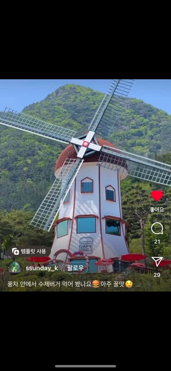 풍차카페수제버거 · 네이버 지도·플레이스 2