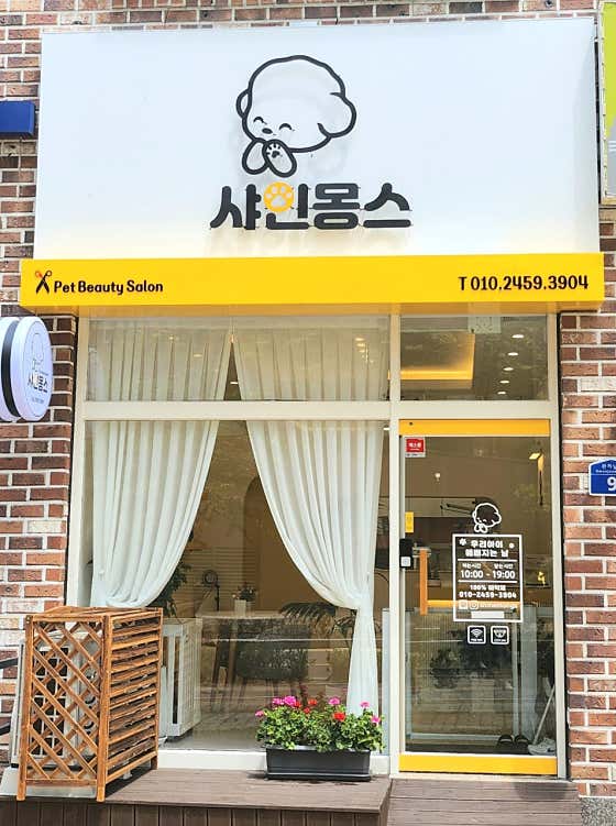 샤인몽스 애견미용