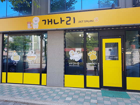 개나리애견미용실 대표이미지