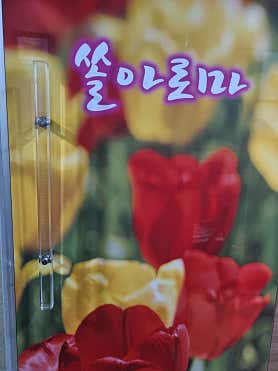 쏠아로마 (창동역) 매장 사진 3