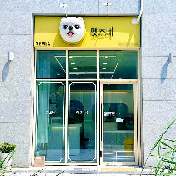 펫츠네 대표이미지