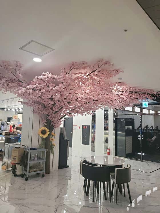 앤유PC 진영점