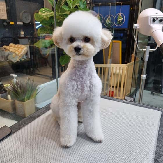 제이제이스타일 · 네이버 지도·플레이스 2