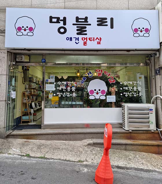 멍블리 대표이미지