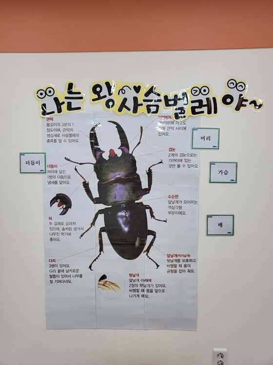 네이버 플레이스 와이키즈 별내센터 : 네이버