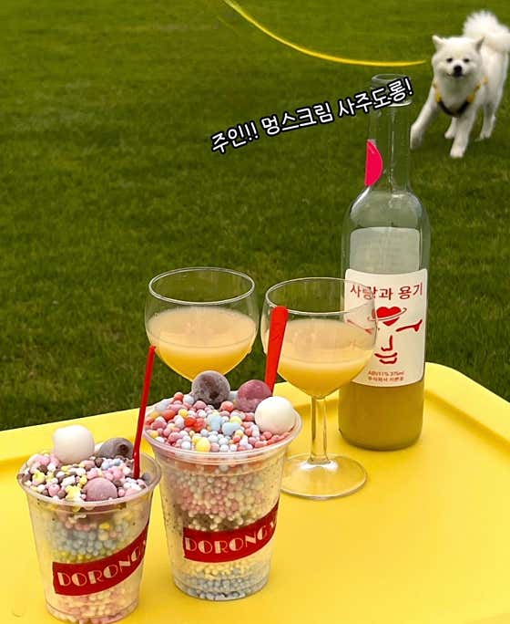 도롱도롱 · 네이버 지도·플레이스 3