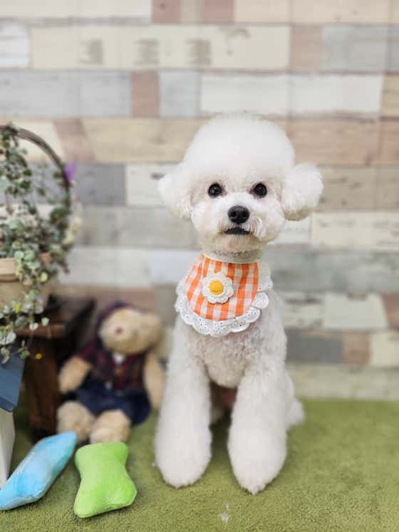 어스멍 · 네이버 지도·플레이스 10