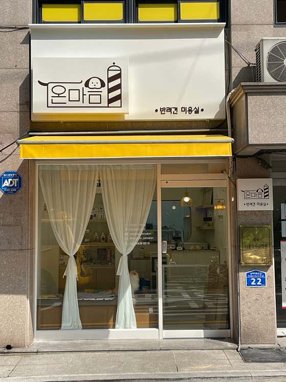온마음 반려견미용실