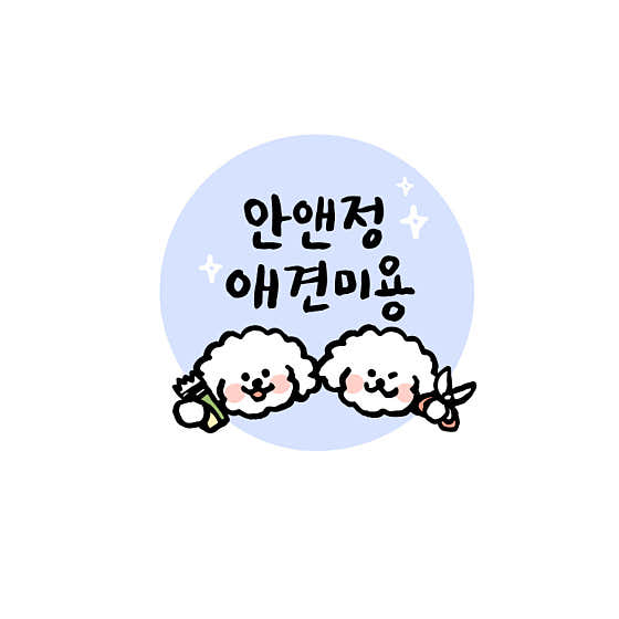 안앤정 애견미용