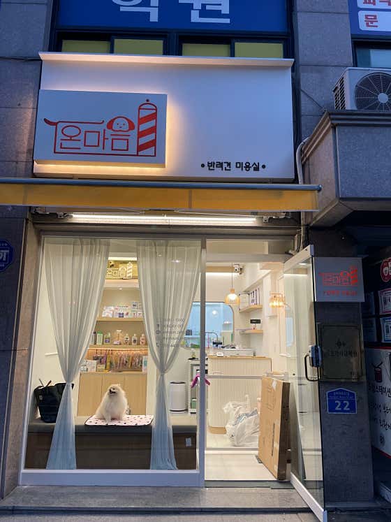 온마음 반려견미용실 · 네이버 지도·플레이스 2