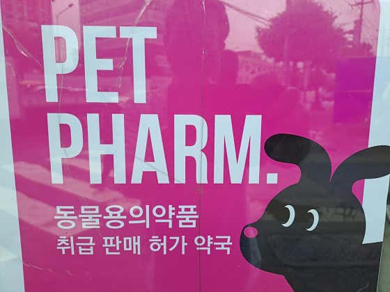 도마약국 · 네이버 지도·플레이스 2