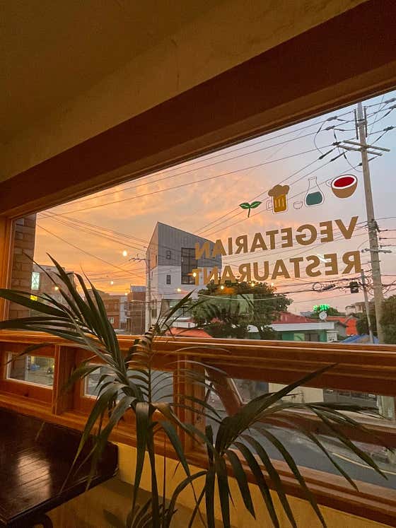숨비다