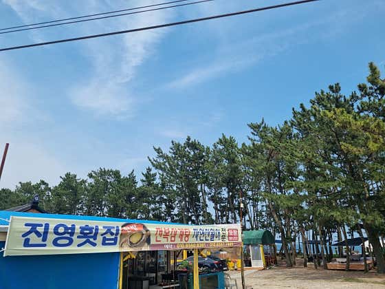 진영