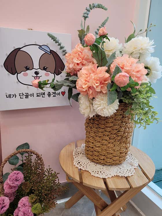 그린트리 강아지미용실 · 네이버 지도·플레이스 4