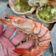 블랙타이거 새우찜 (5마리) 메뉴 사진(네이버)