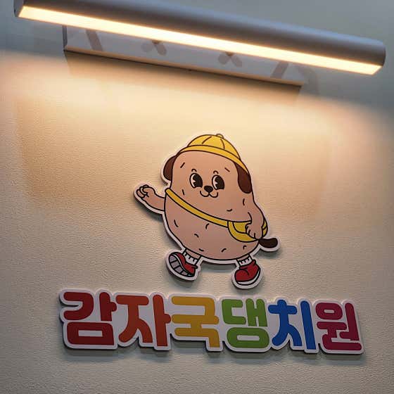 감자국댕치원 강아지유치원 애견유치원 강아지호텔 애견호텔 · 네이버 지도·플레이스 4