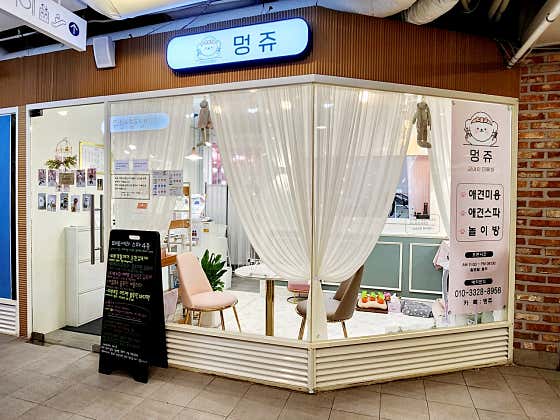 멍쥬 대표이미지