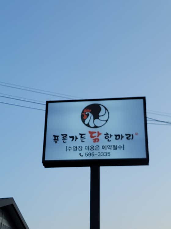 푸른가든 닭한마리 · 네이버 지도·플레이스 2