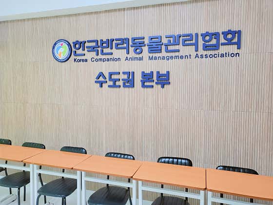개인공감 · 네이버 지도·플레이스 4