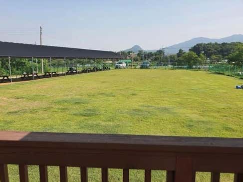 메이저애견훈련학교 · 네이버 지도·플레이스 2