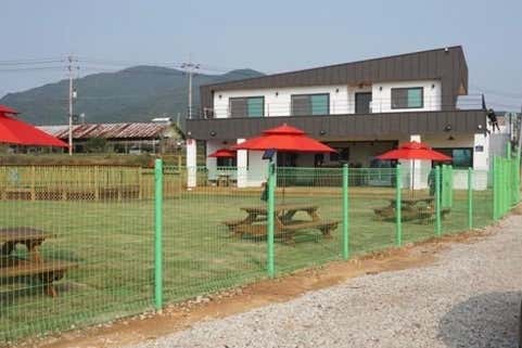 메이저애견훈련학교