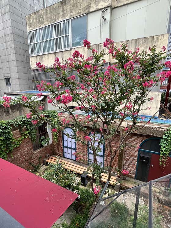 카페보네르