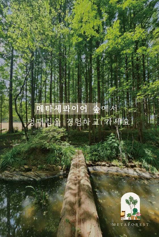 메타포레스트