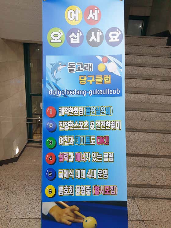 돌고래당구클럽