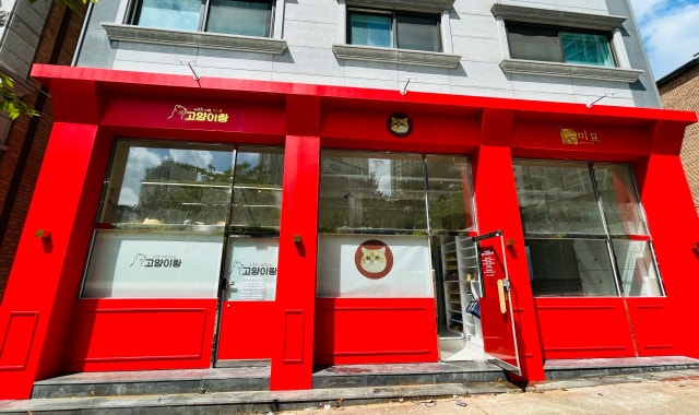 미묘 대표 사진