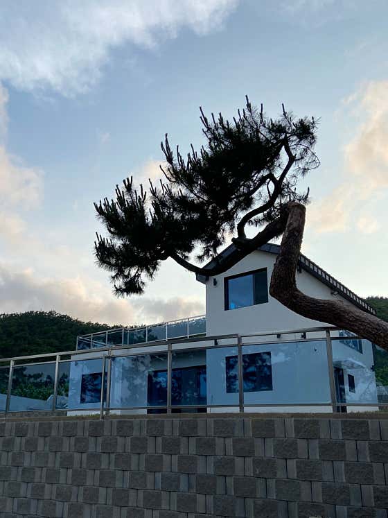 월전 · 네이버 지도·플레이스 2