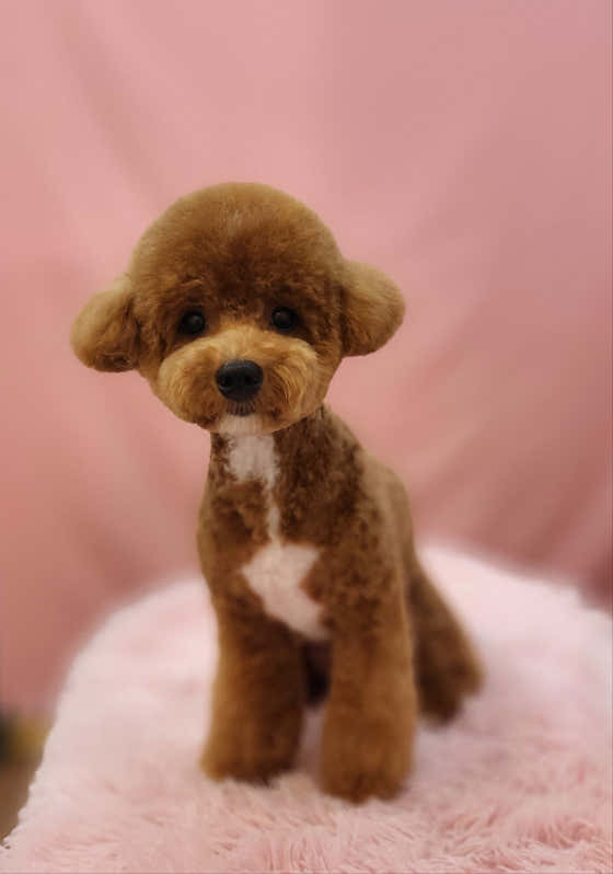 옳지 · 네이버 지도·플레이스 10