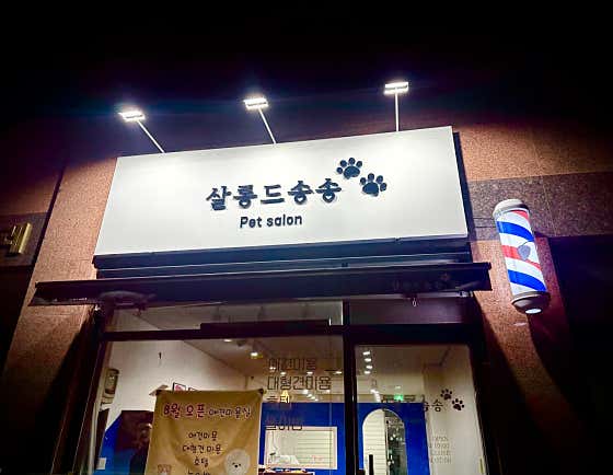 살롱드송송