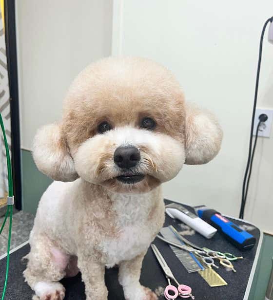 멍라이프 본점 · 네이버 지도·플레이스 9