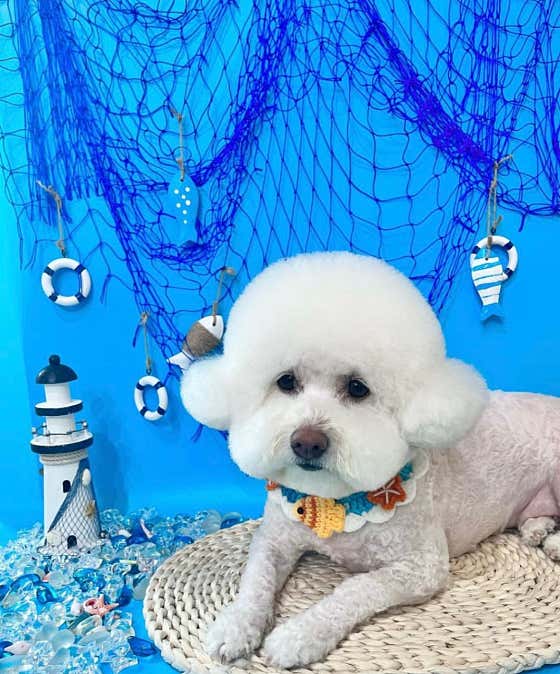 멍라이프 본점 · 네이버 지도·플레이스 2