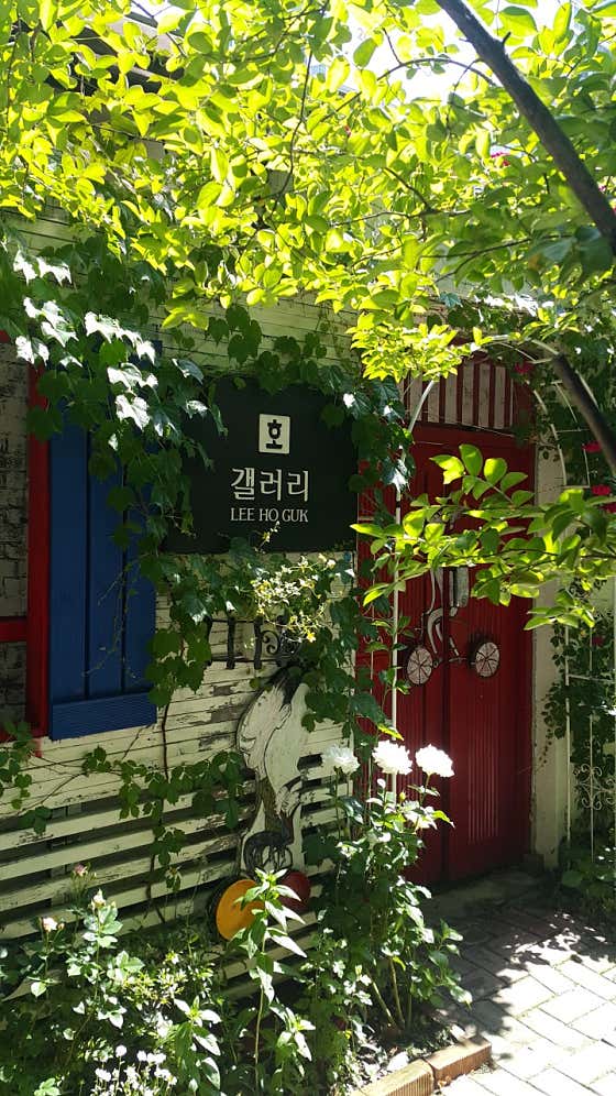 호갤러리