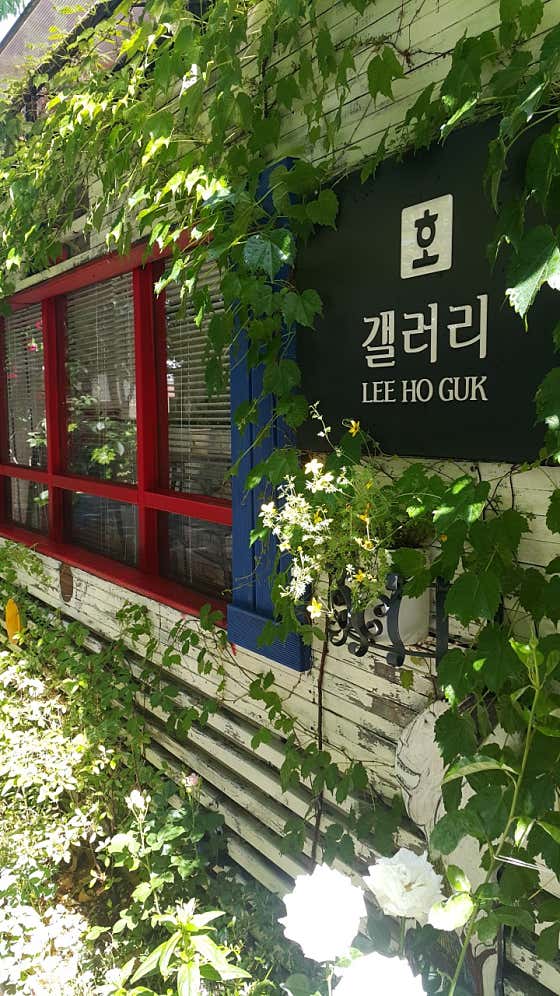 호갤러리 · 네이버 지도·플레이스 2