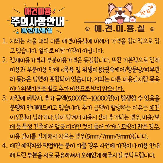 애견미용실 · 네이버 지도·플레이스 4