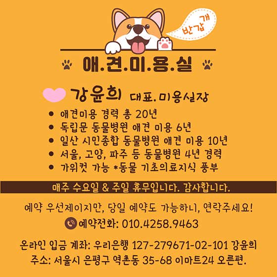 애견미용실 · 네이버 지도·플레이스 5
