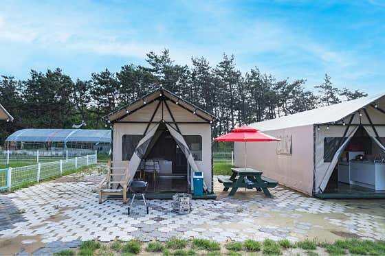 임자글램핑테마파크 · 네이버 지도·플레이스 7