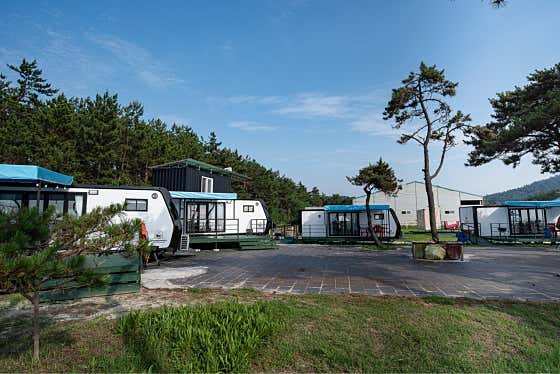 임자글램핑테마파크 · 네이버 지도·플레이스 4