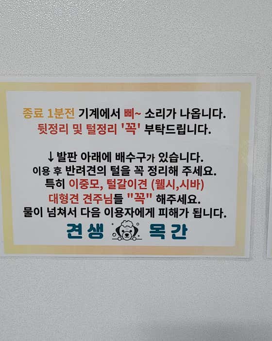네이버 플레이스 인천도화동애견셀프목욕견생목간 : 네이버