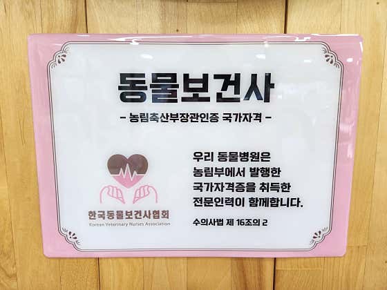 나루동물병원 · 네이버 지도·플레이스 8