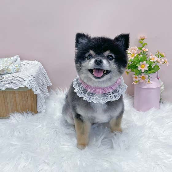 쁘띠살롱 · 네이버 지도·플레이스 3