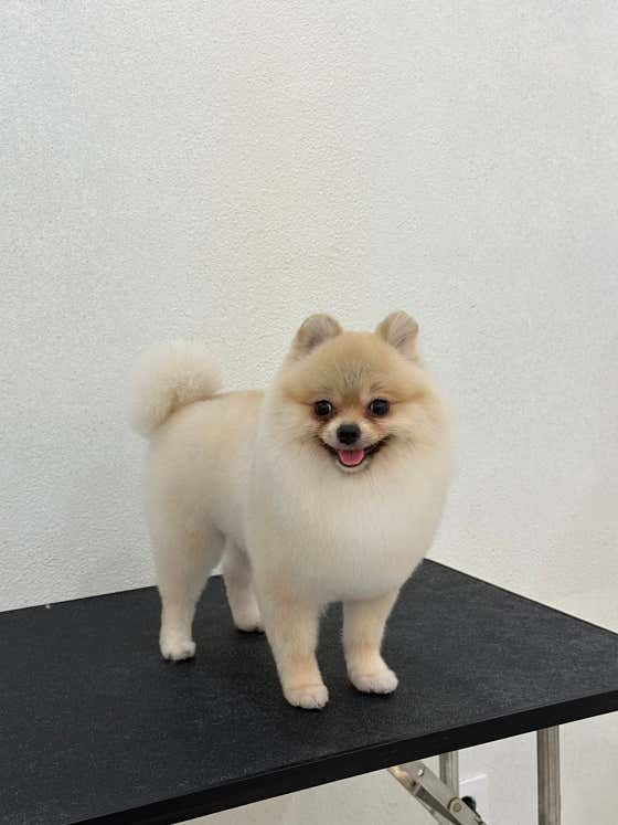 코코바코 · 네이버 지도·플레이스 3