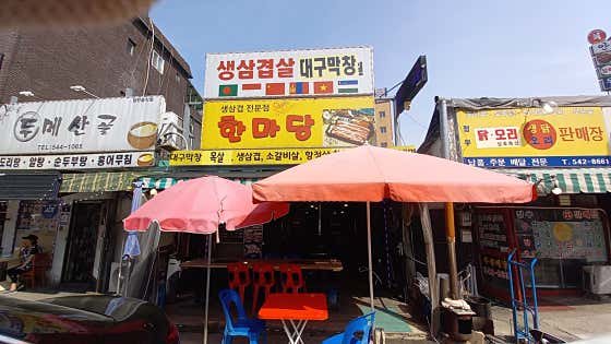 한마당