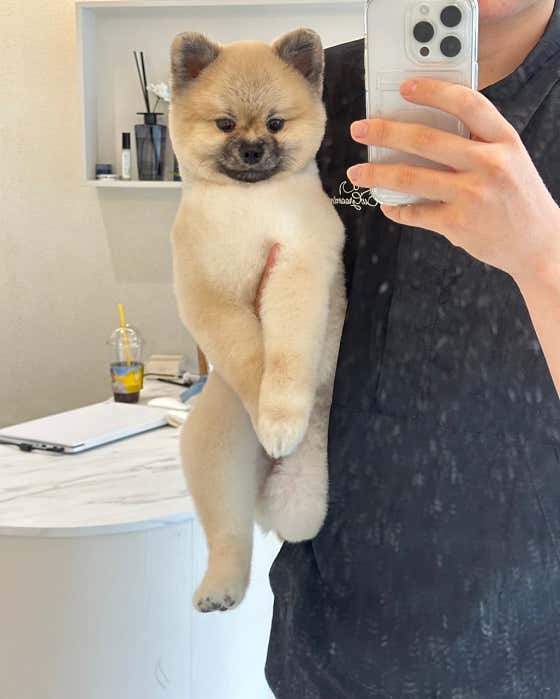 코코바코 대표이미지