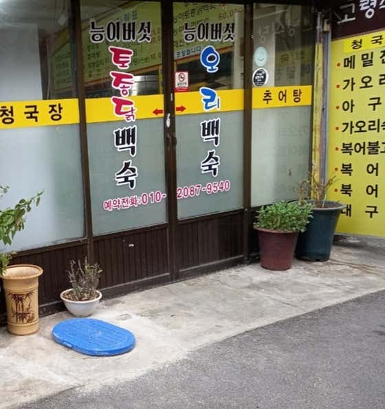 고령식당 능이버섯토종닭백숙