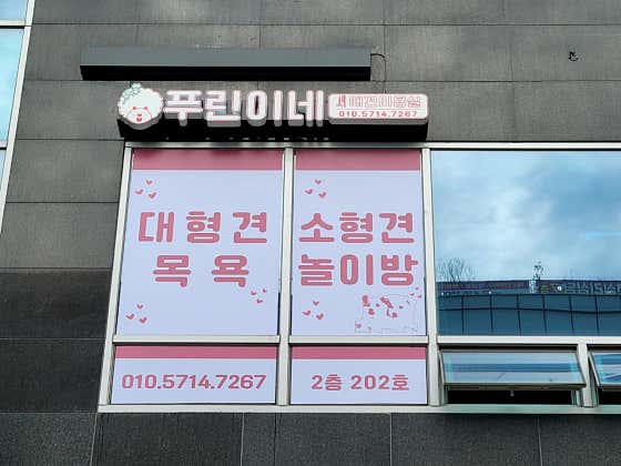 푸린이네 · 네이버 지도·플레이스 5