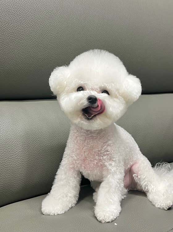 몰랑독 · 네이버 지도·플레이스 4