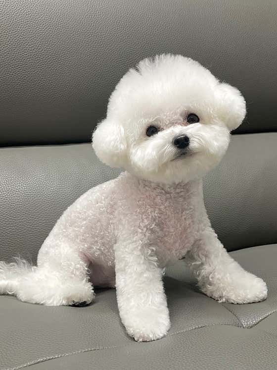 몰랑독 · 네이버 지도·플레이스 3